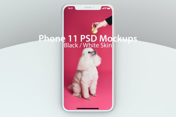 iPhone 11 苹果手机样机素材下载（PSD）