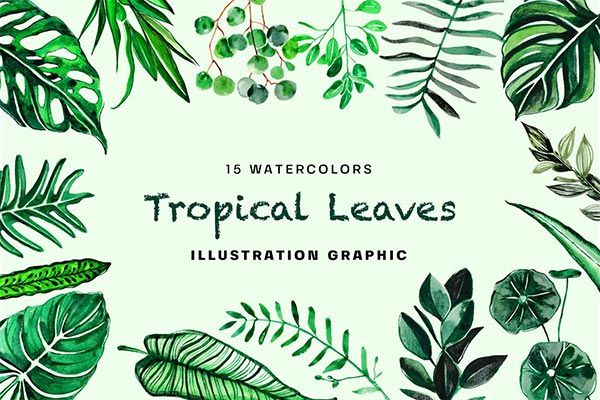 时尚清新高端多用途的手绘水彩风格热带雨林植物树叶插画插图背景底纹纹理大集合