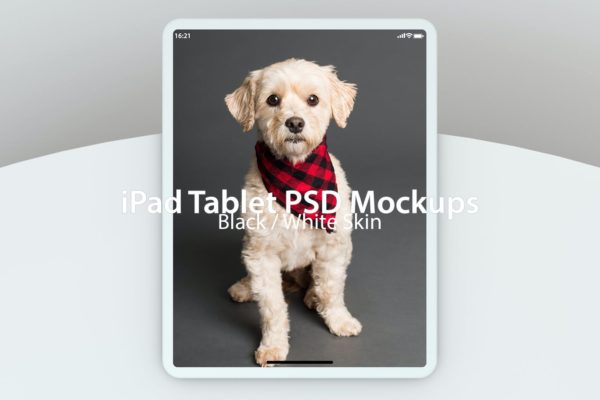 好用的iPad APP UI样机展示模型mockups
