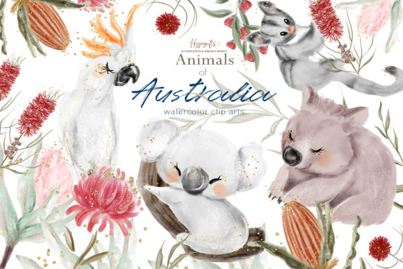 澳大利亚考拉动物插画水彩素材包
