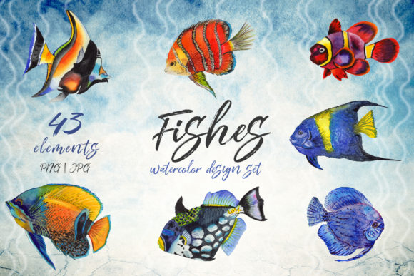 海洋热带鱼类水彩插画素材集