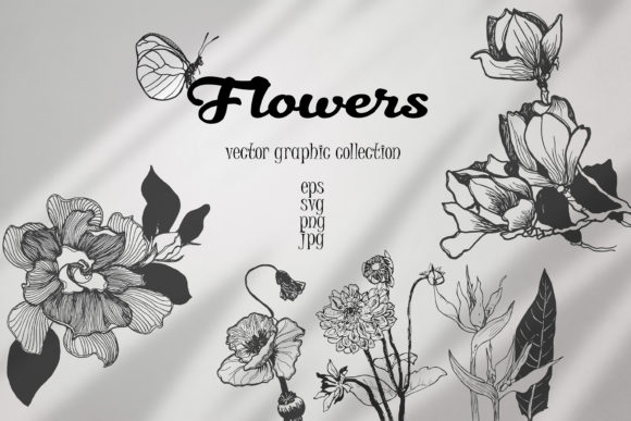 黑白手绘花卉植物矢量插画合集