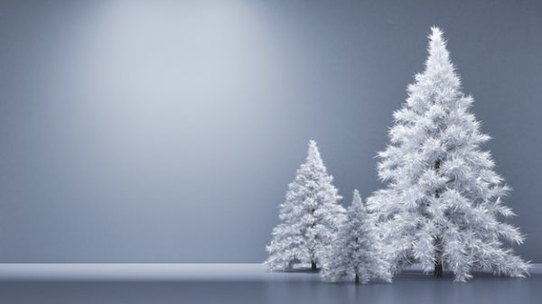 圣诞假期冷杉树背景[JPG]
