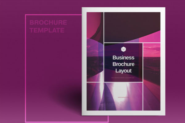 紫色主题宣传册布局设计模板