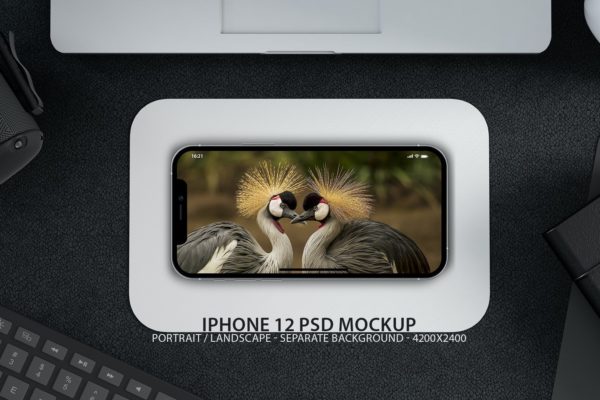 iPhone 12 APP UI样机展示模型mockups