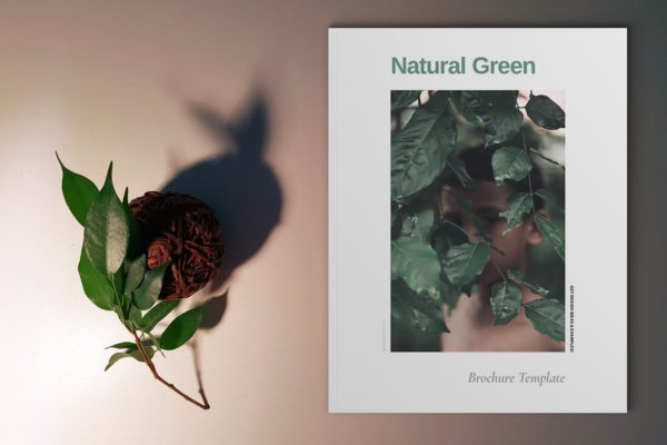绿色自然主题宣传册设计模板