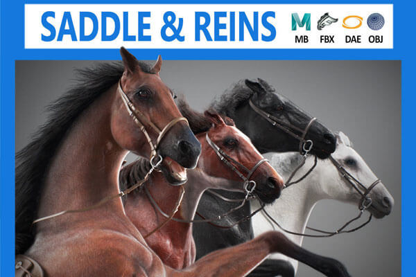 完美的3D动画马MYAY模型素材下载(MB,MA)