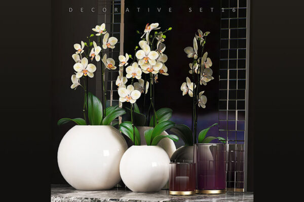 精品桌面绿植兰花花卉摆件组合套装3D模型下载（FBX，MAX）