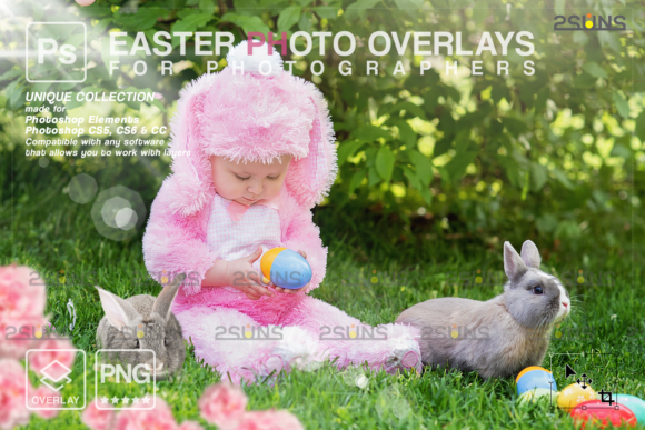 兔子&彩蛋复活节主题Photoshop叠层PNG素材