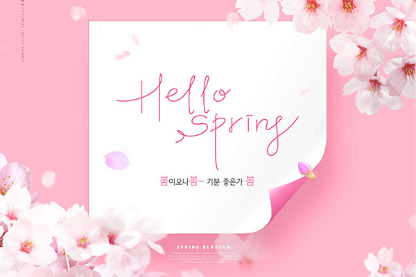 粉色花卉元素春季海报设计 (psd)