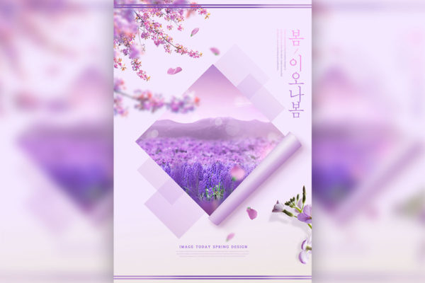 紫色薰衣草春季海报设计模板 (psd)