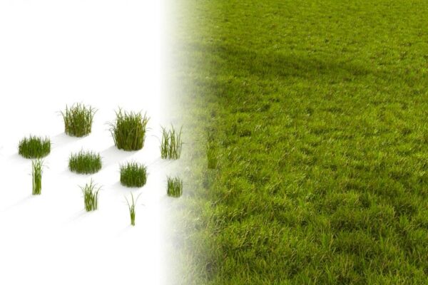 小草模型草坪3D模型Blender版下载（Blend,OBJ）