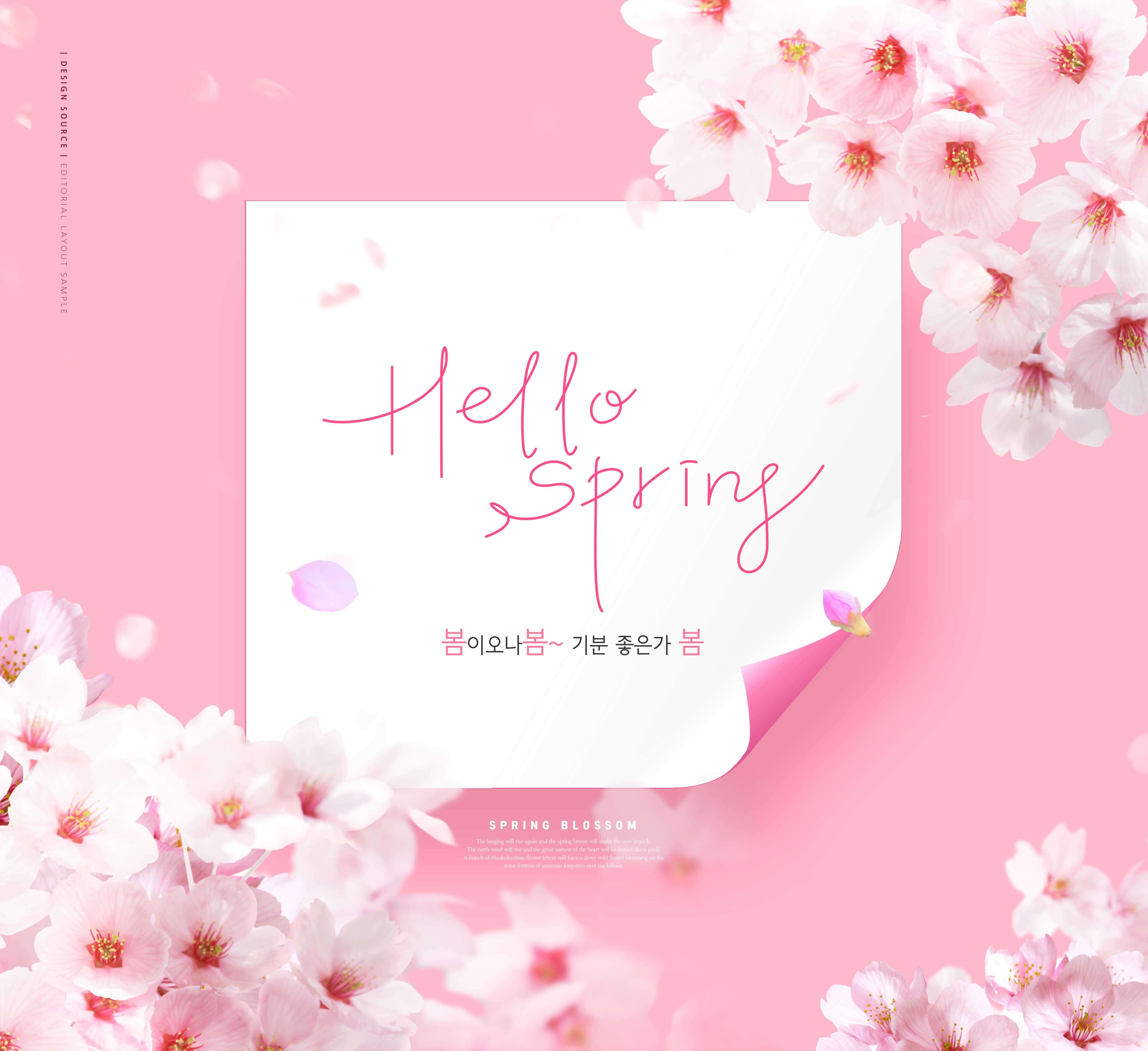 粉色花卉元素春季海报设计 (psd)