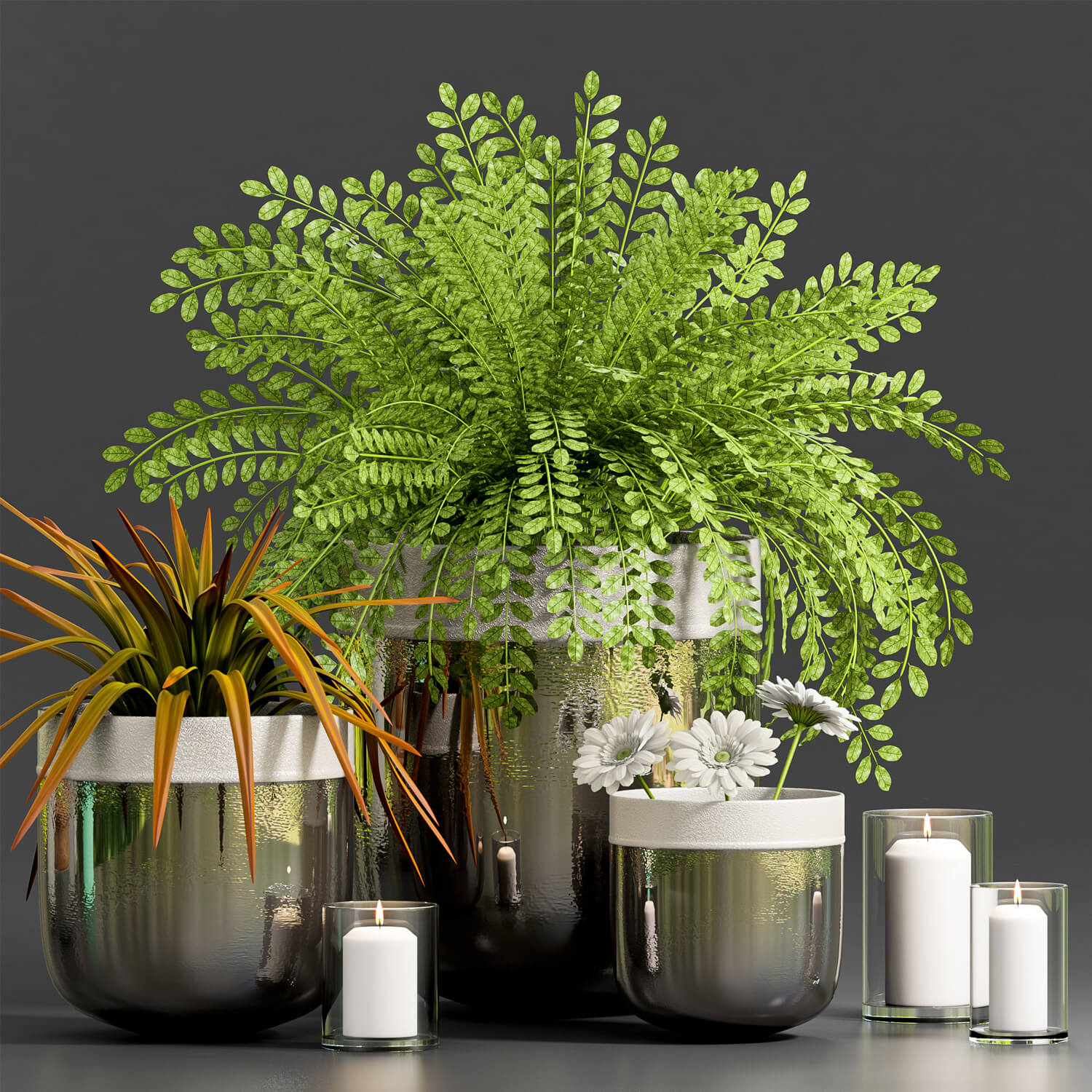 包含非洲菊的装饰植物组3D模型（OBJ,FBX,MAX）