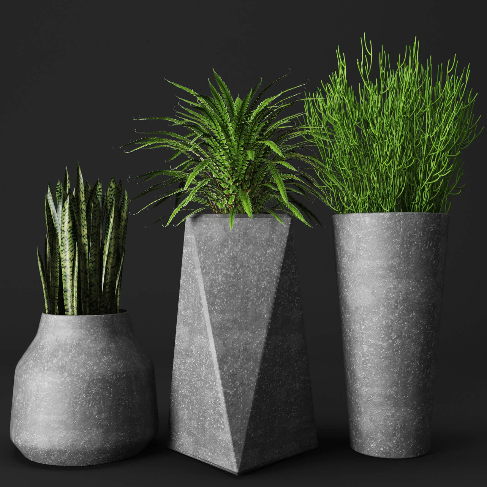 带有植物的土罐3D模型（OBJ,FBX,MAX）