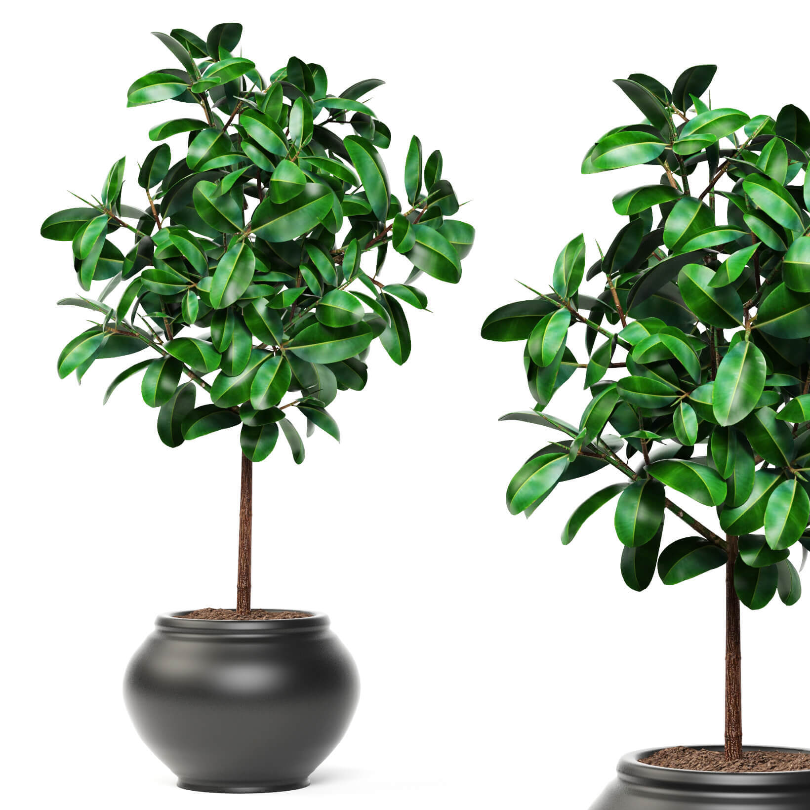 大榕树盆景3D模型（OBJ,FBX,MAX）