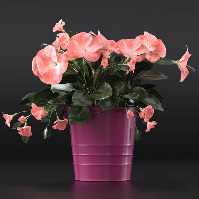 粉色木槿3D模型（OBJ,FBX,MAX）