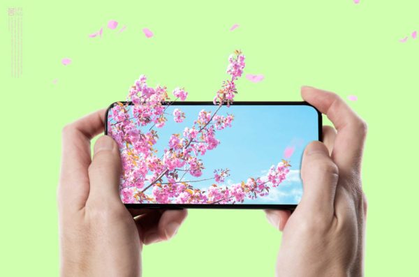 手机樱花风景春季主题海报设计 (psd)