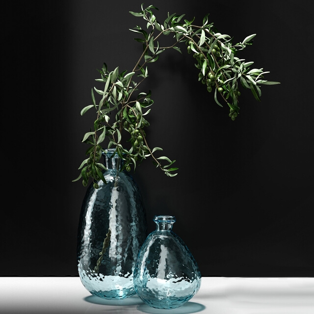 玻璃花瓶中的橄榄枝3D模型（OBJ,FBX,MAX）