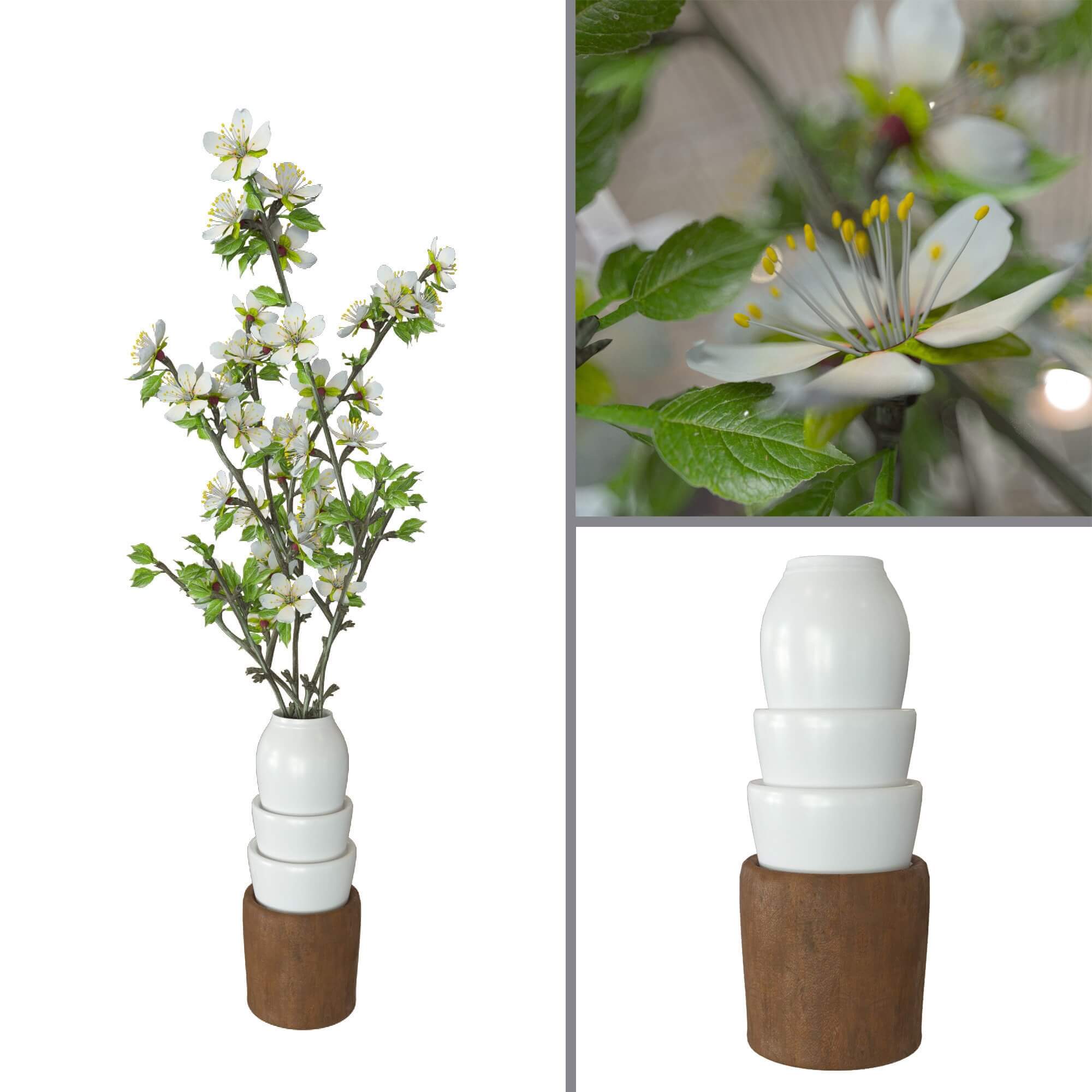花瓶中的杏花3D模型（OBJ,FBX,MAX）
