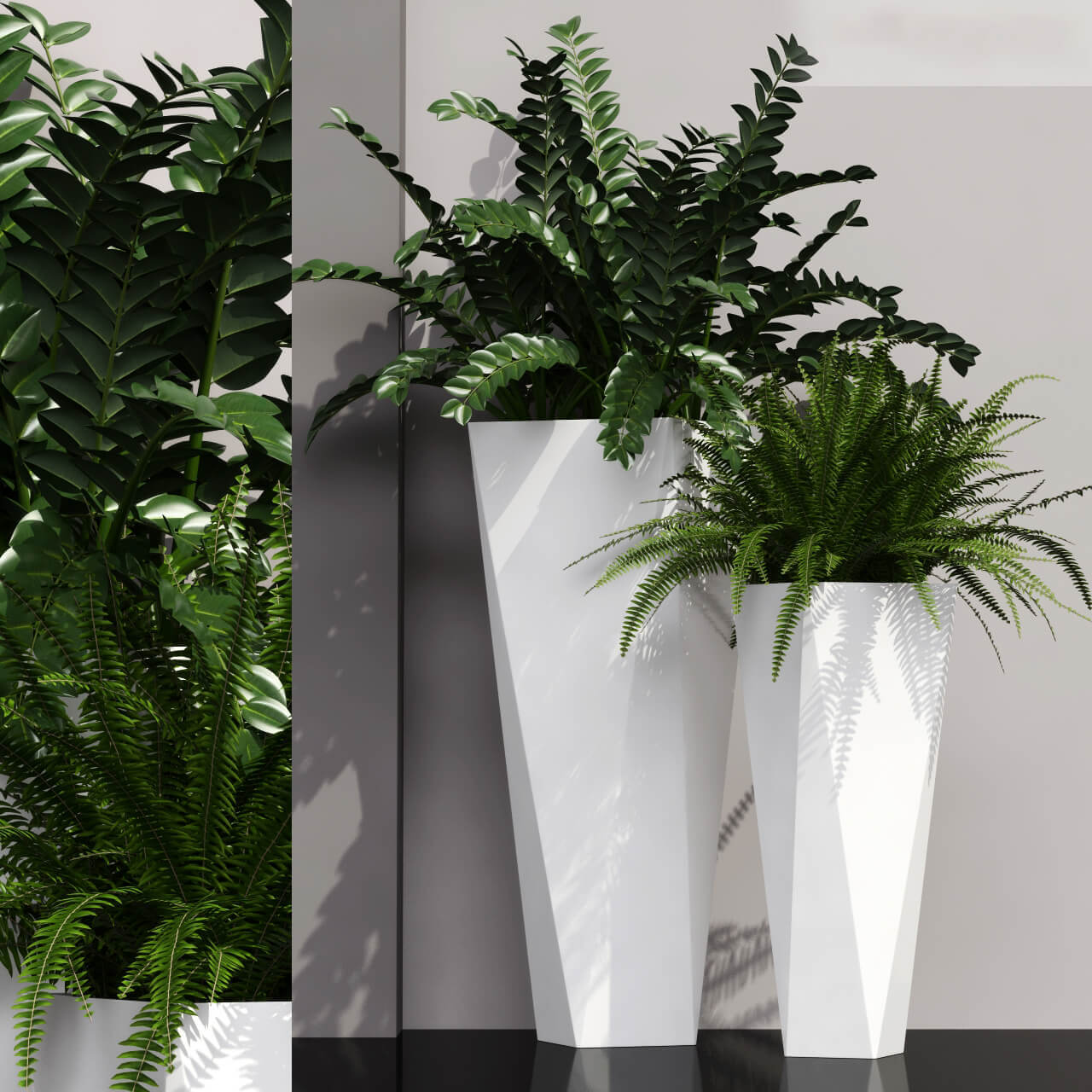 白色多边形花盆植物盆景3D模型（OBJ,FBX,MAX）