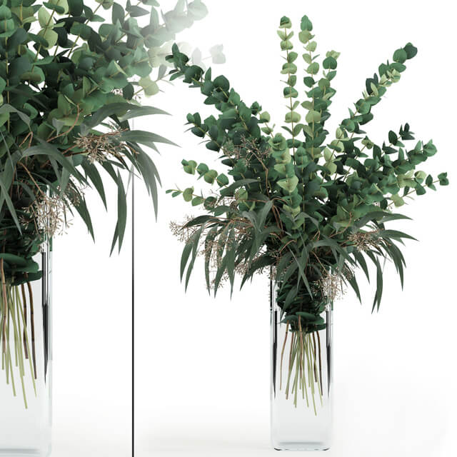 高玻璃花瓶中的桉树枝3D模型（OBJ,FBX,MAX）