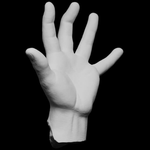 标准的手3D模型下载（FBX,STL）