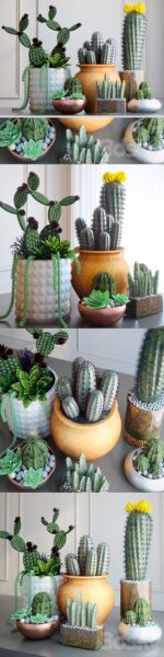 仙人掌室内绿植3D模型下载（FBX,MAX）