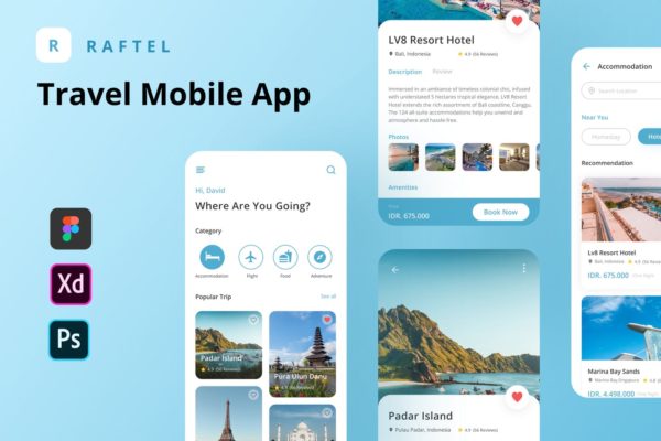 Raftel – 旅行酒店预定程序模型(FIG,XD,PSD)
