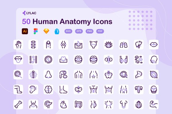 50个人体解剖学图标 (AI,EPS,FIG,JPG,PDF,PNG,SKETCH,SVG)