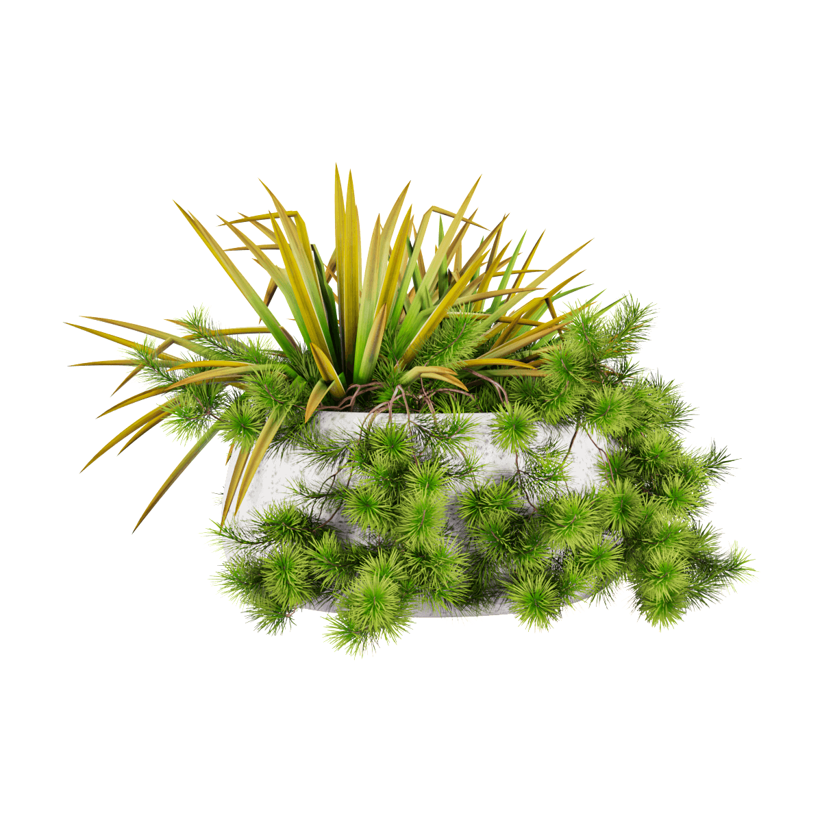 仿真发散状植物盆景3D模型（OBJ,FBX,MAX）