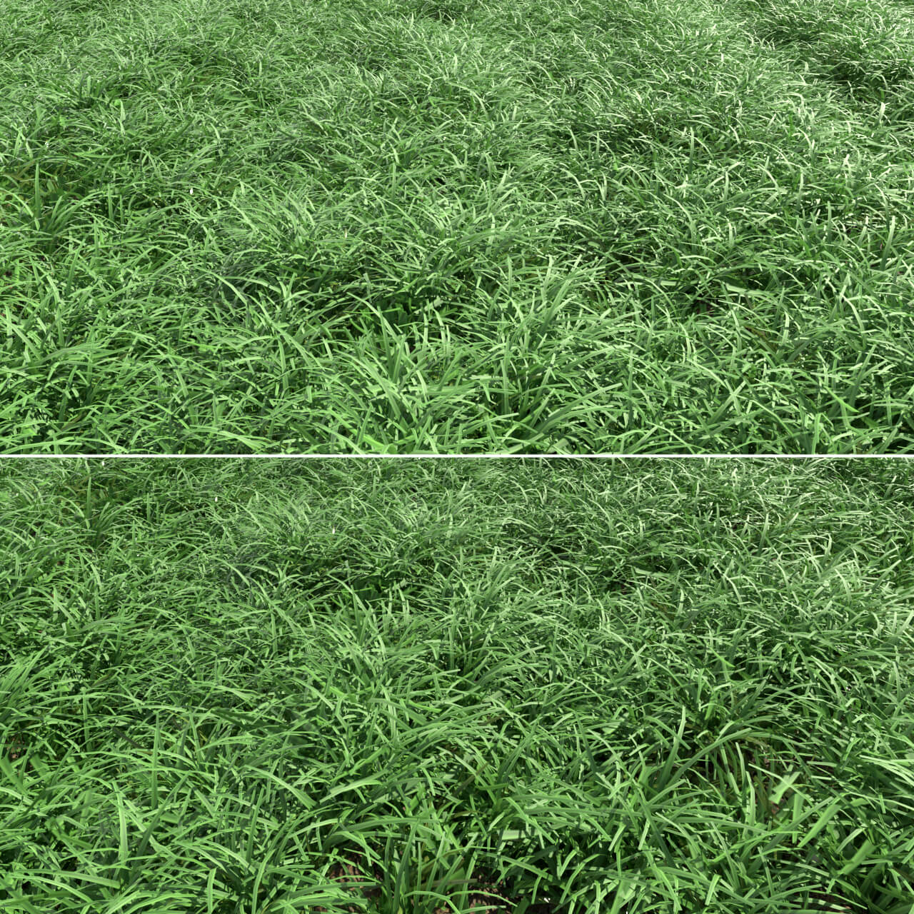 绿色草坪3D模型（OBJ,MAX）