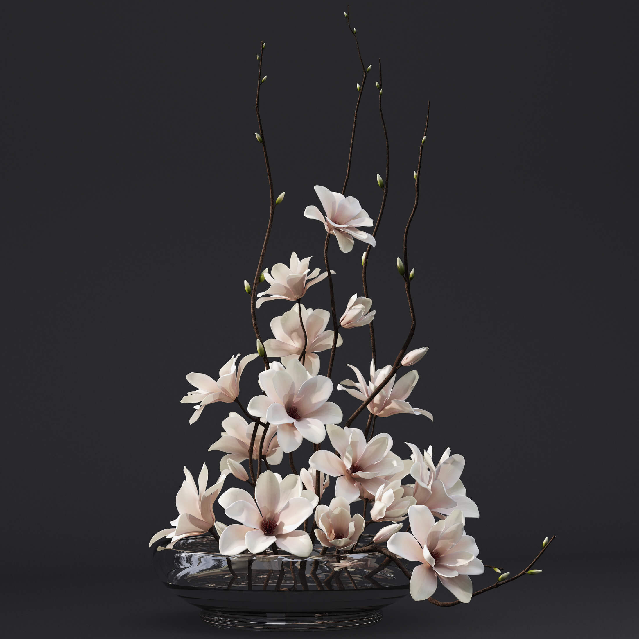 浅圆形玻璃花瓶中的玉兰花3D模型（OBJ,FBX,MAX）