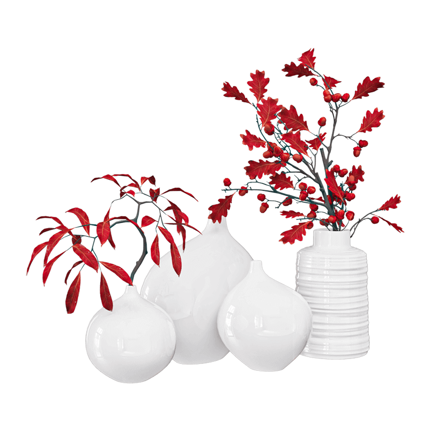 白色花瓶中的红色树枝3D模型（OBJ,FBX,MAX）