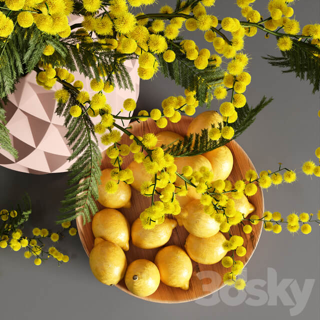花瓶中的黄色花束和柠檬果盘3D模型（MAX）
