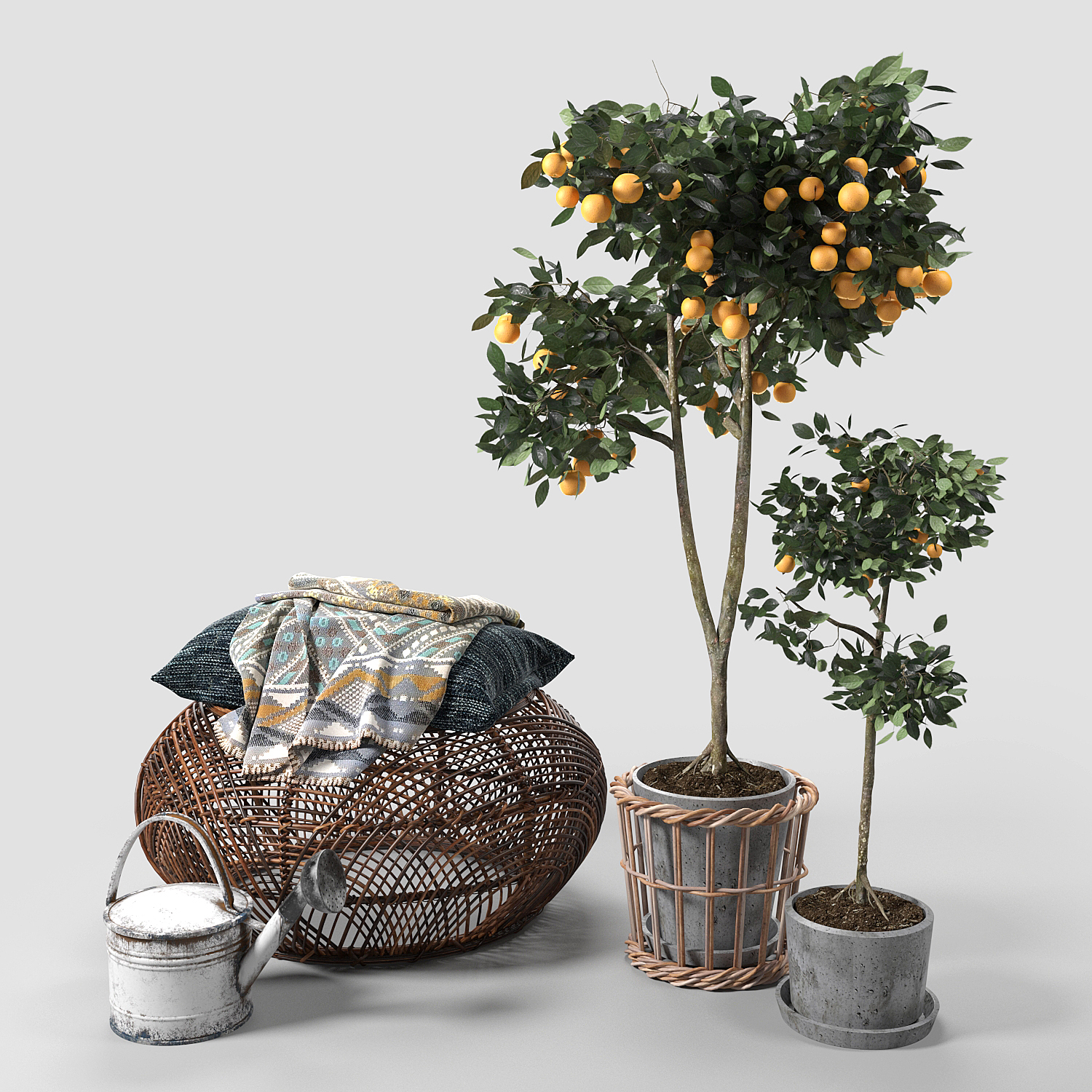 3d-Orange-Trees-Plants-Model-342-Free-Download-1