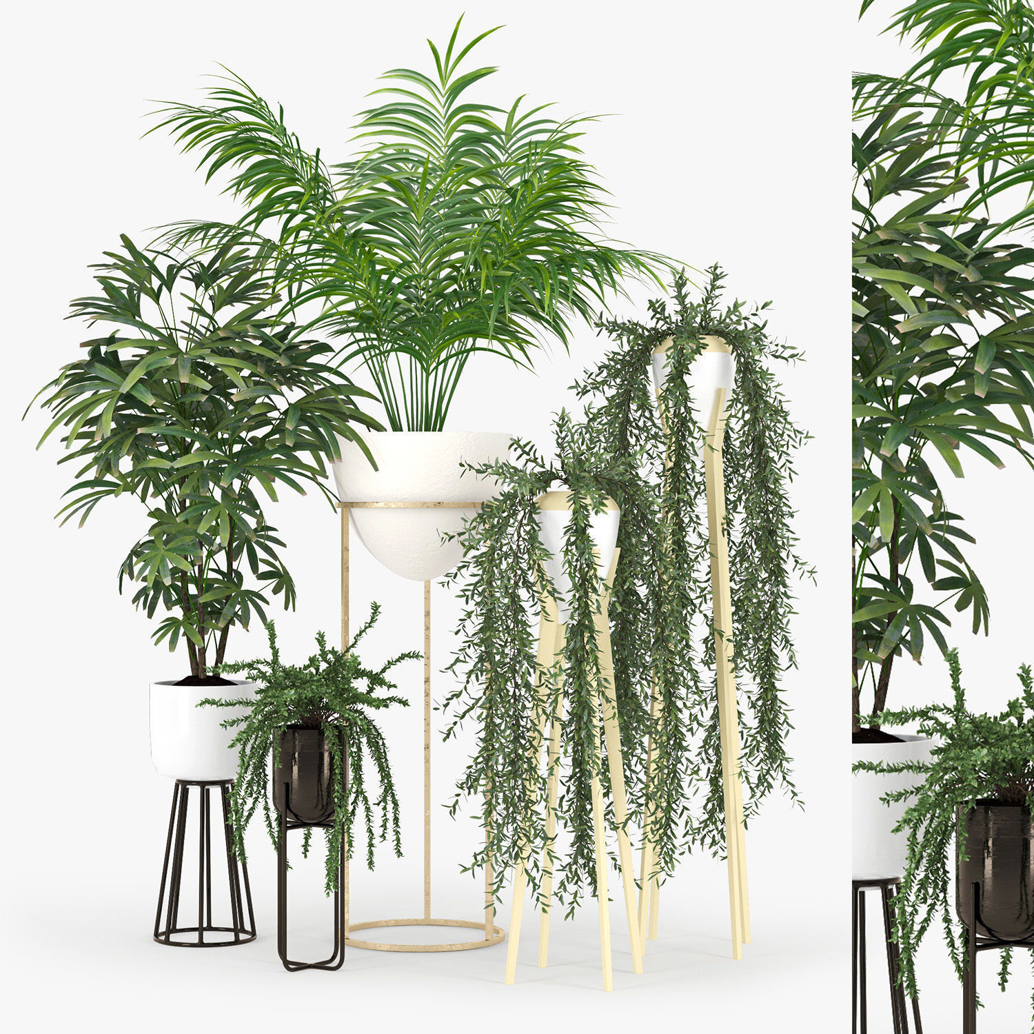 3d-Plants-Model-318-Free-Download-2