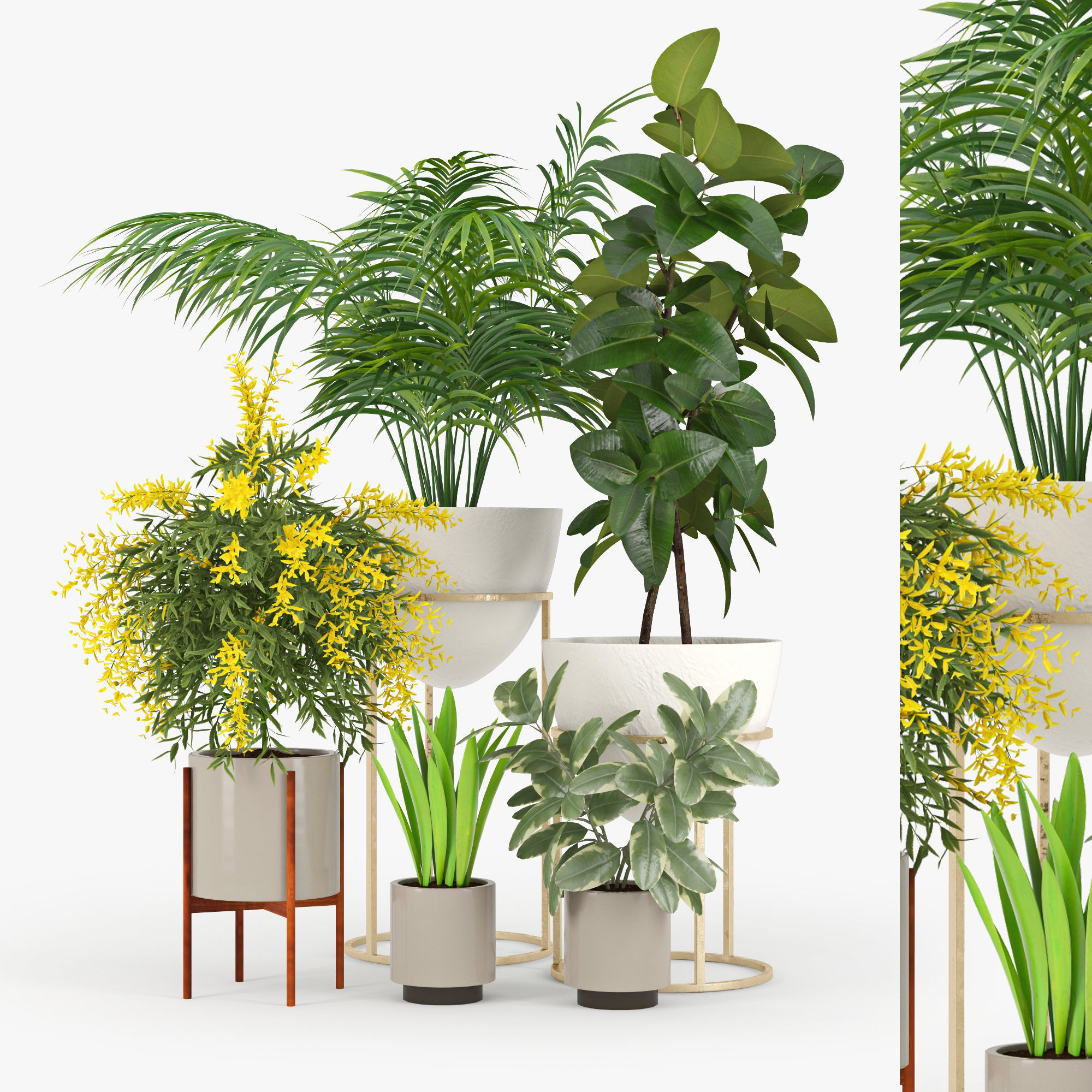 3d-Plants-Model-318-Free-Download-3