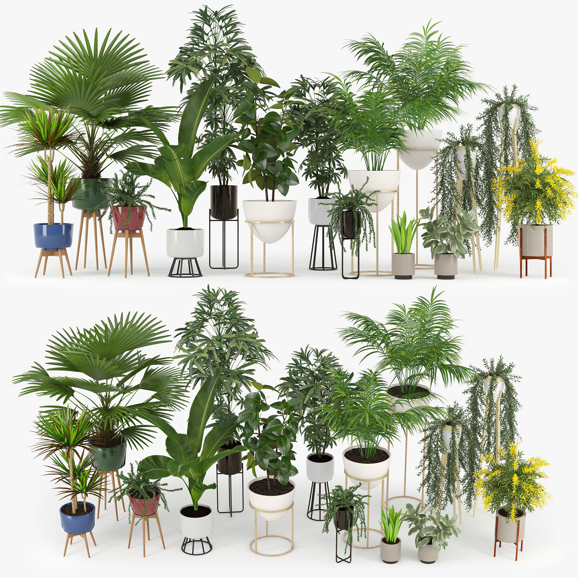 3d-Plants-Model-318-Free-Download-6