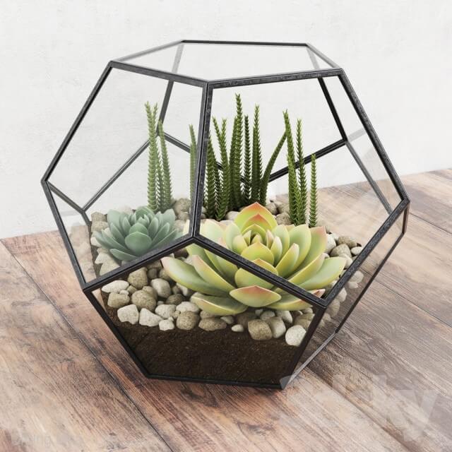 多边形玻璃器皿里的多肉植物3D模型（FBX,MAX）
