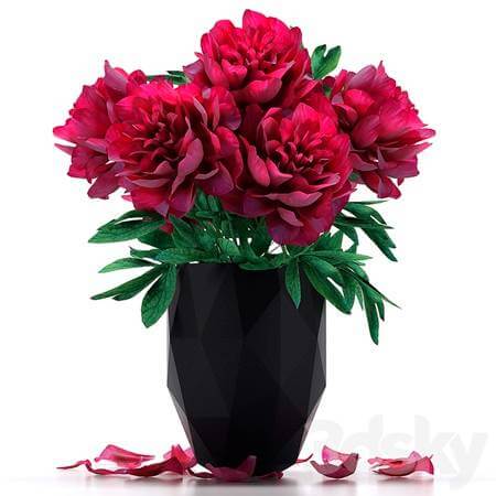 黑色花盆里的红牡丹3D模型（OBJ,MAX）