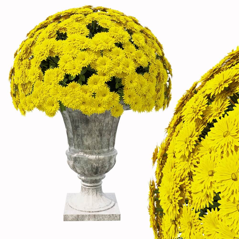 开满黄色花朵的菊花盆景3D模型（OBJ,FBX,MAX）