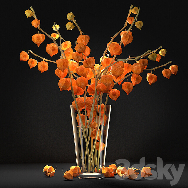 玻璃瓶中的橙色灯笼草3D模型（FBX,MAX）