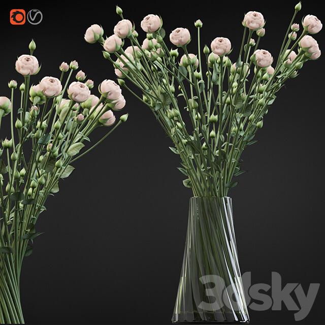 玻璃花瓶中的杏色玫瑰花苞3D模型（FBX,MAX）