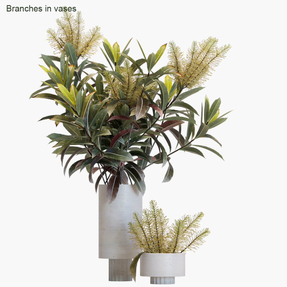 玻璃花瓶中的绿色树枝3D模型（FBX,MAX）
