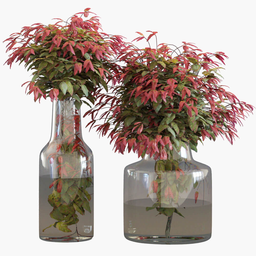 玻璃花瓶中的南天竹树枝3D模型（OBJ,MAX）