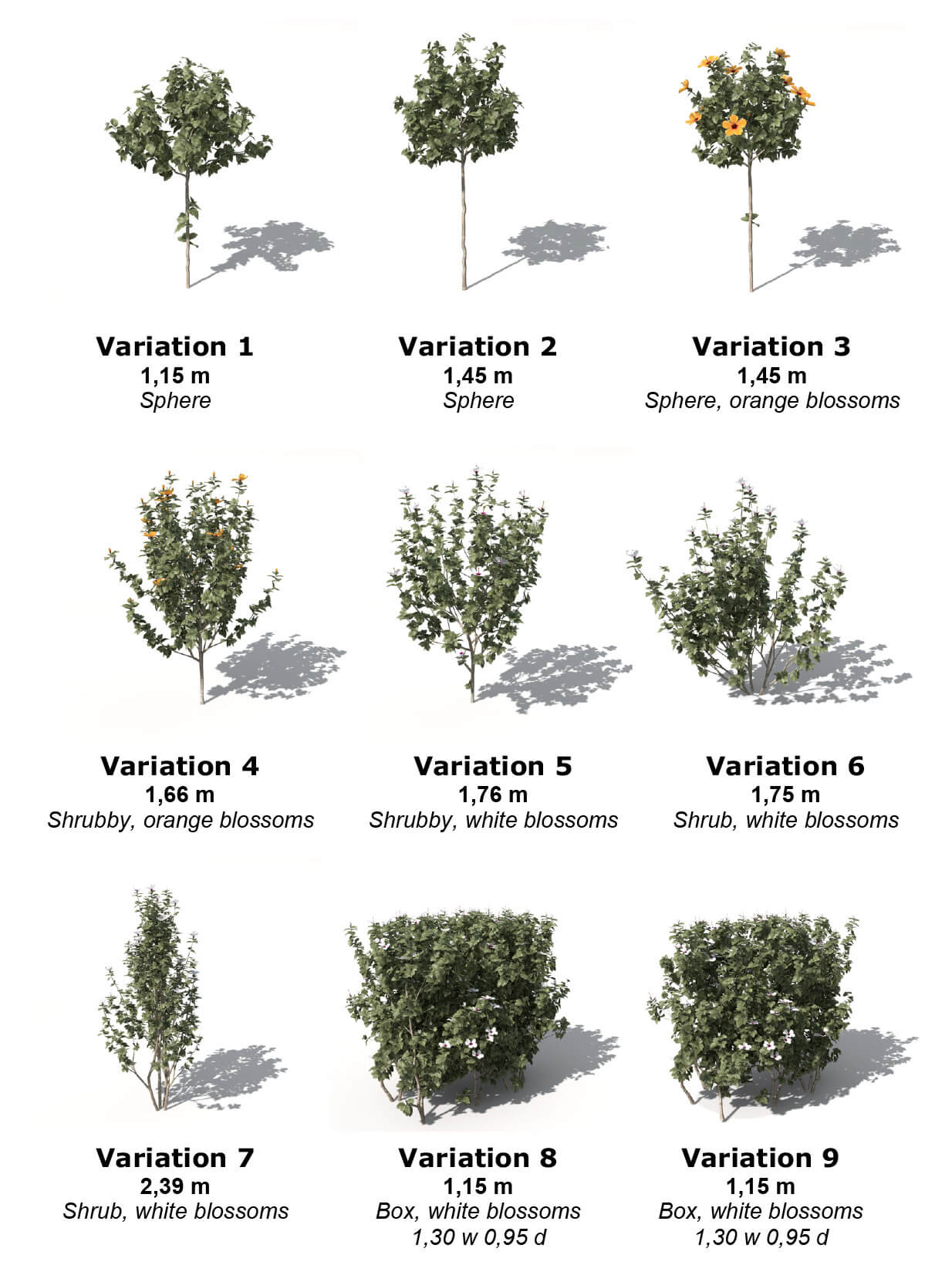 Hibiscus多组形态木槿园林植物3D模型（OBJ）