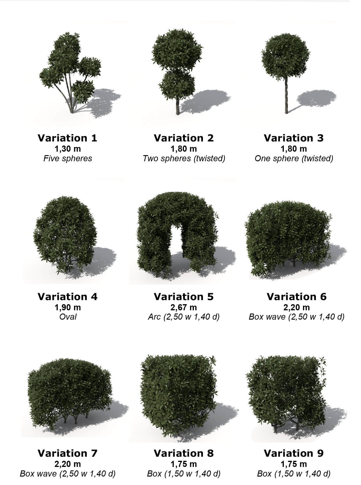 Ligustrum vulgare多种形态欧洲女贞园林绿植3D模型（OBJ）