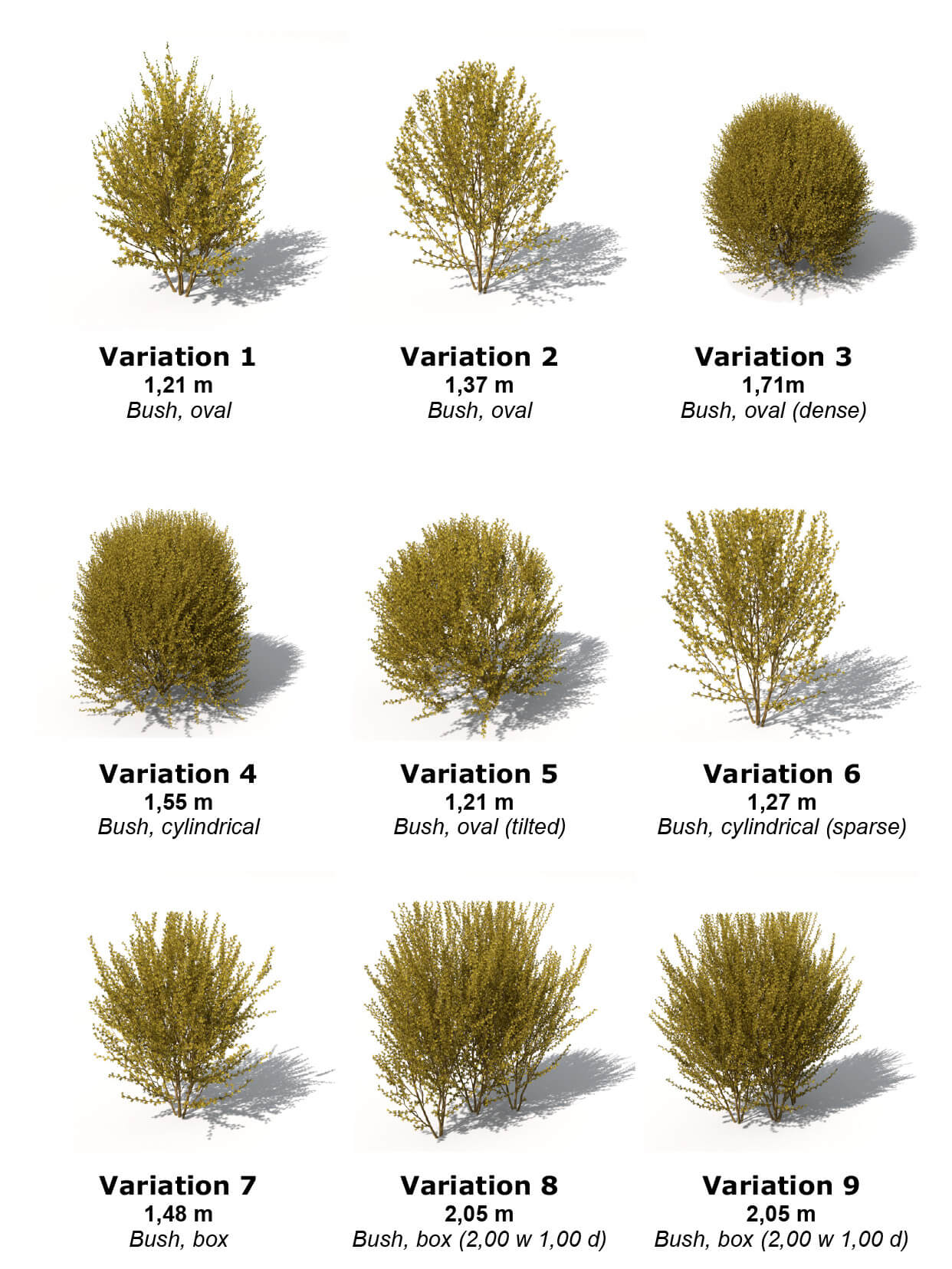 Forsythia多组形态黄叶连翘灌木园林植物3D模型（OBJ）