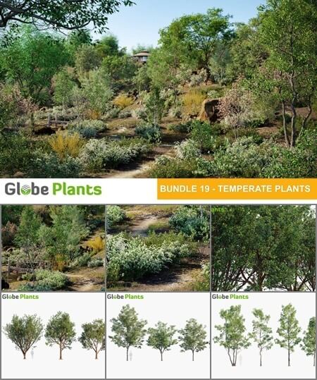 多种温带树木灌木草等植物合集3D模型（MAX）